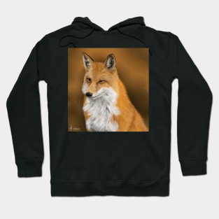 Fox Hoodie